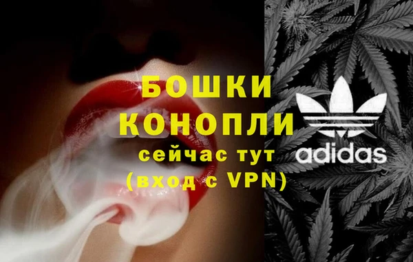 шишки Михайловск