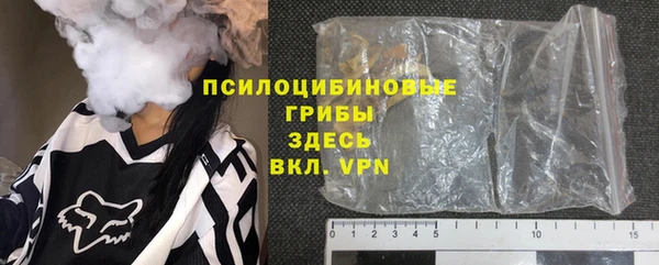 шишки Михайловск