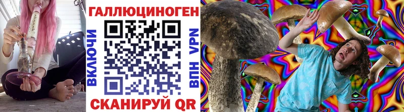 Псилоцибиновые грибы мухоморы где найти наркотики MEGA tor Нижнеудинск